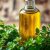 Olejek z oregano – naturalny sposób na grzybicę i infekcje grzybicze